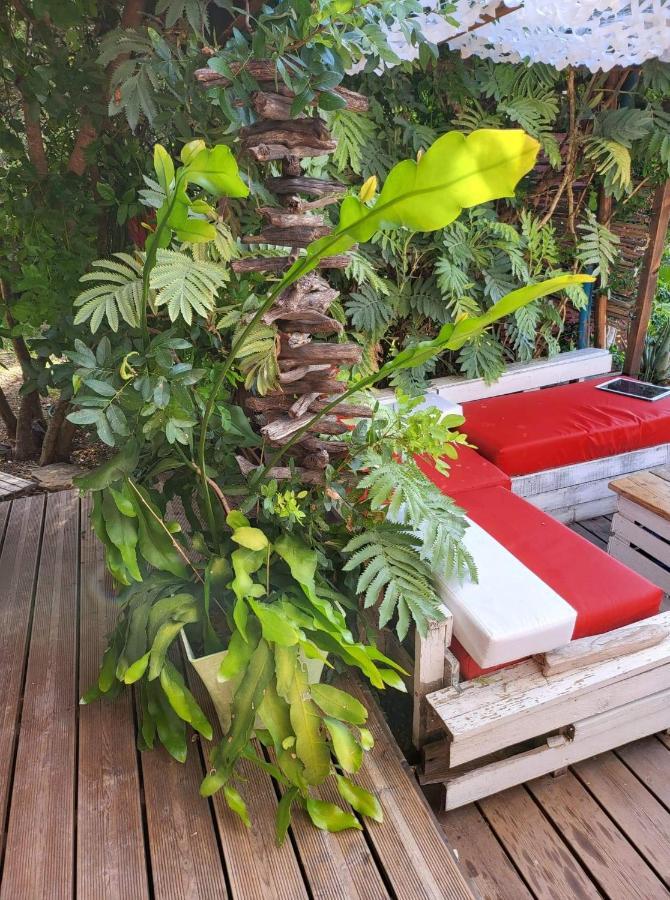 Logement De Charme Avec Piscine Et Jacuzzi Carnoules  Buitenkant foto