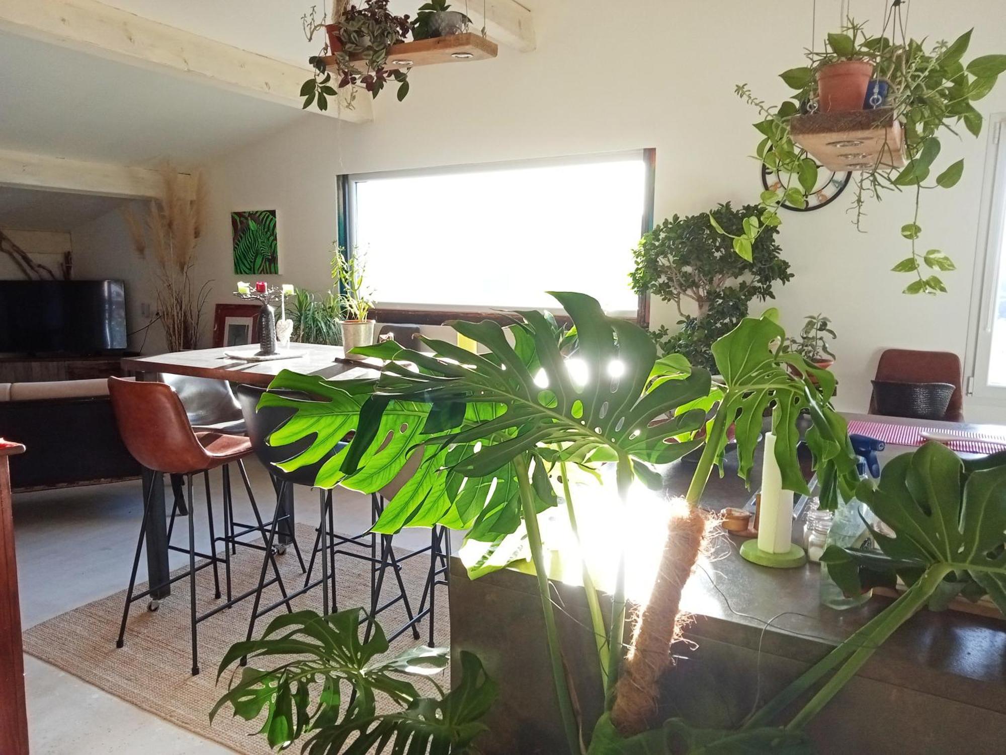 Logement De Charme Avec Piscine Et Jacuzzi Carnoules  Buitenkant foto